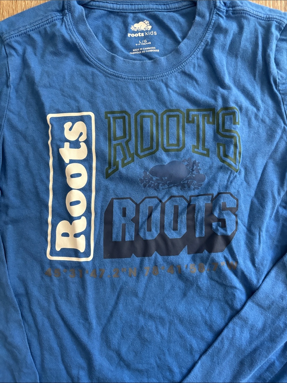 Roots Kids Royal Blue Long-Sleeve Graphic Tee
